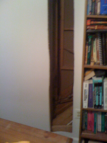 Guest Room Hole To access the back of the Shower