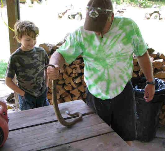 Friendly Snake from inside the Cabin