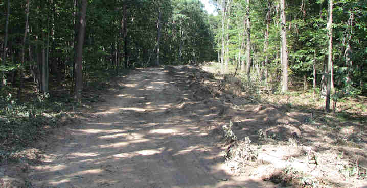 They cut a 50 foot Swath thru the Woods at the old road