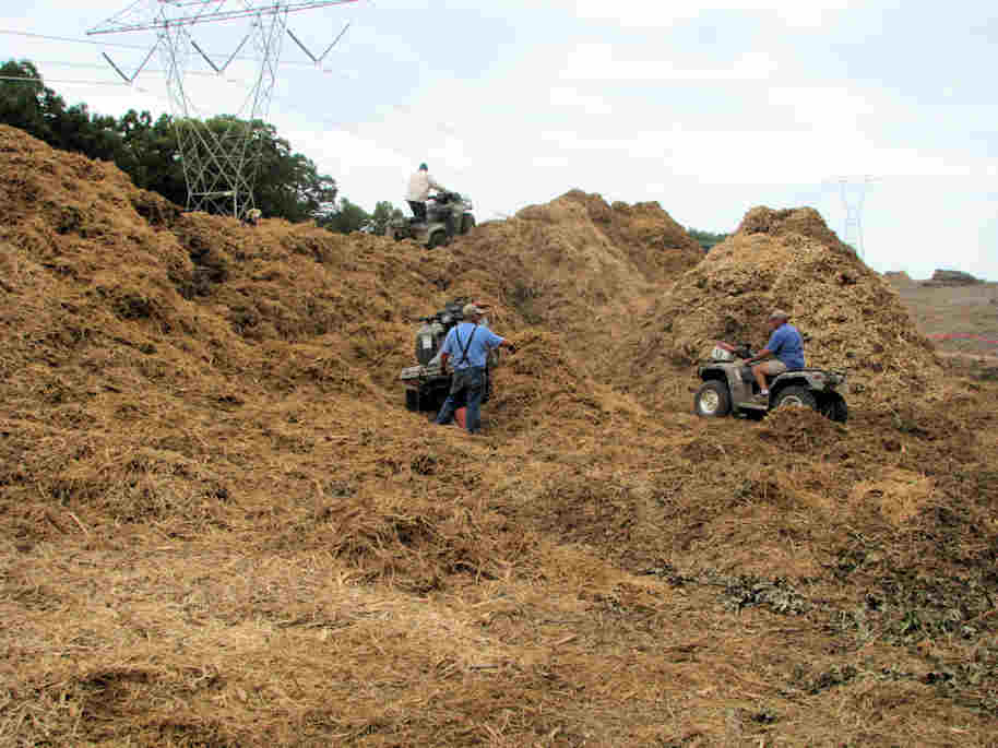 Nick, Ed and Jeff ride on the Mulch Pile on the PowerLine