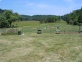 img_1123.jpg