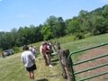 img_1125.jpg