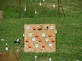2008_june_14_shoot_0148.jpg