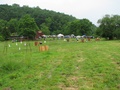 2008_june_14_shoot_0170.jpg