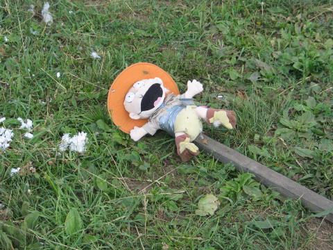 2005 Jun 0041