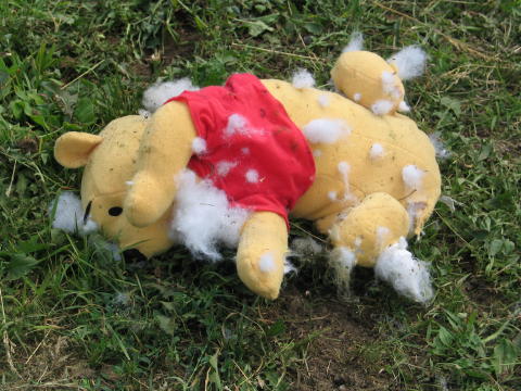 2005 Jun 0052